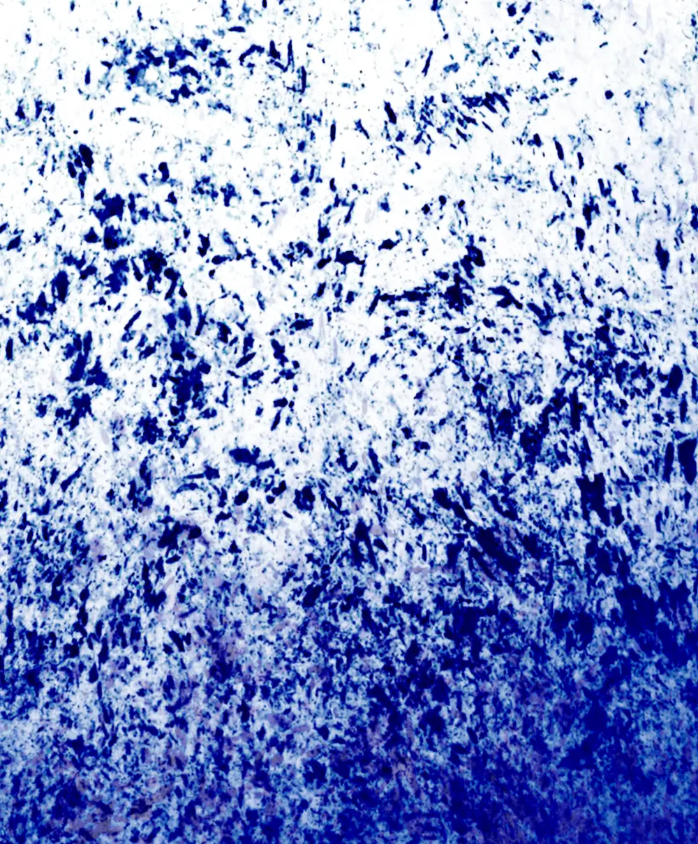 A FAN OF Abanico Éventail blue splash design